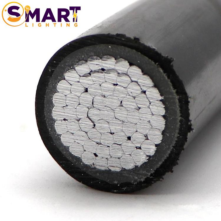 معرض الصور 6